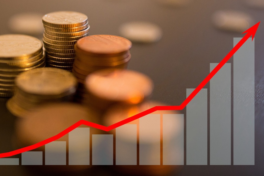 Guide To Filter The Most Profitable Unlisted Companies In India