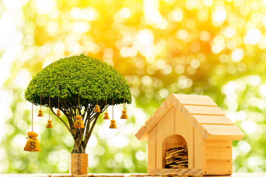 Detailed Guide To Calculate Capital Gains on Unlisted Shares