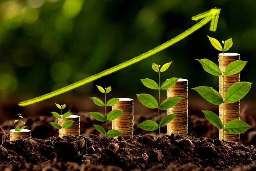 The Future Of Unlisted Shares In the Fintech Market
