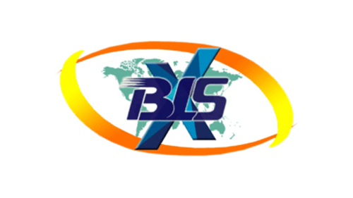 BLSX Limited Unlisted Shares